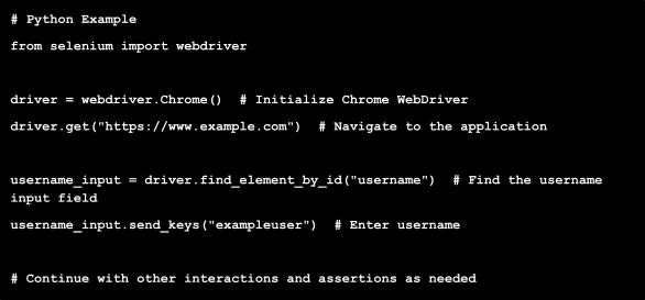 Python Example