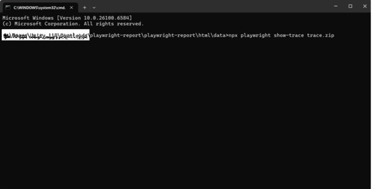 launches the trace viewer