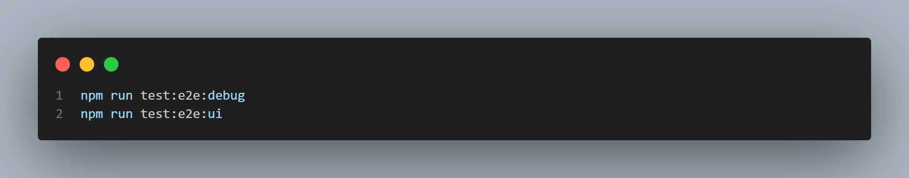Run Debug Flag
